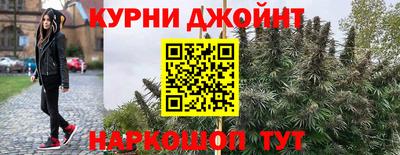 мдпв Новодвинск