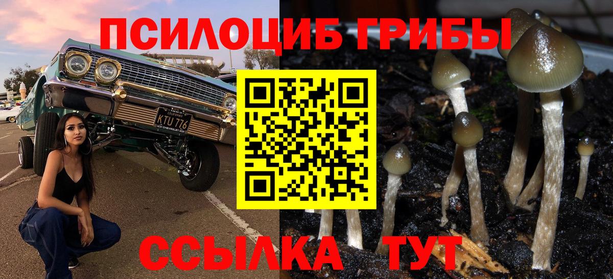 Галлюциногенные грибы GOLDEN TEACHER  Вход с VPN  Северск 